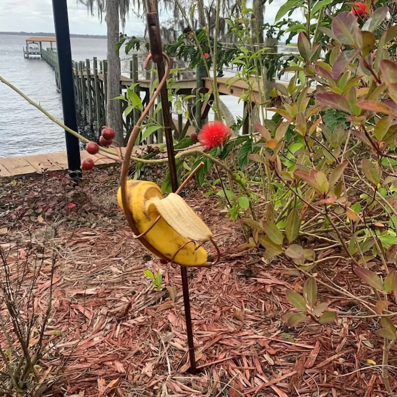 🦋Butterfly Banana Hammock - 🦋Butterfly Feeder