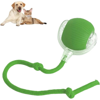 Smart Interactive Pet Toy Ball