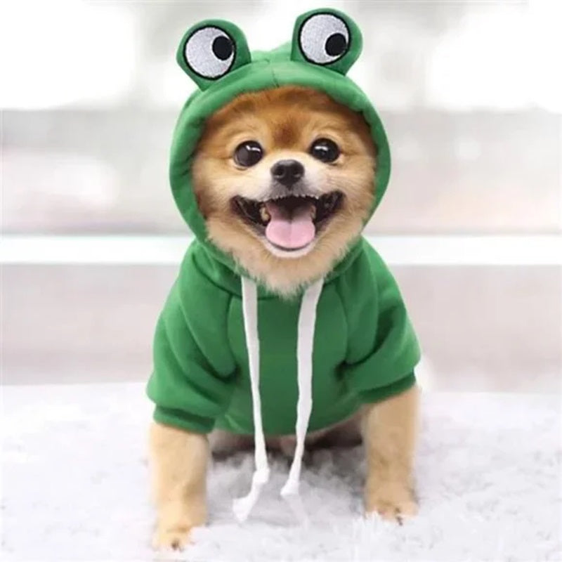 Cute Frog Pet Clothes