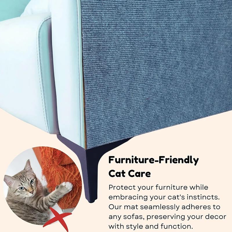 Cat Scratching - Protect Your Furniture