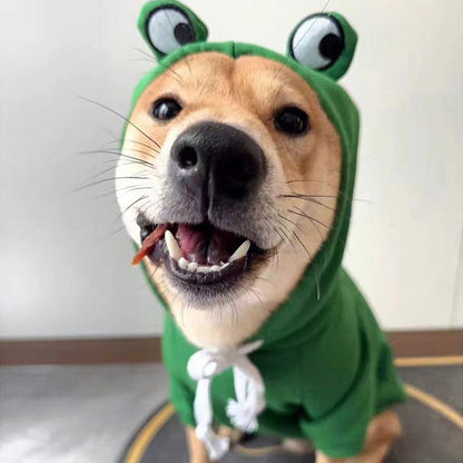 Cute Frog Pet Clothes