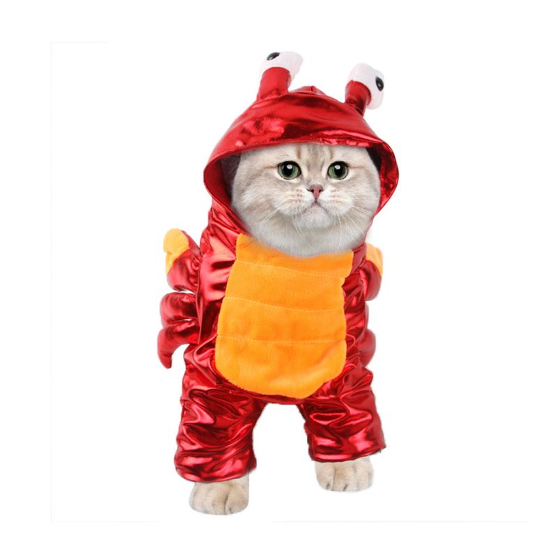 Chucky Pet Costume - Crab