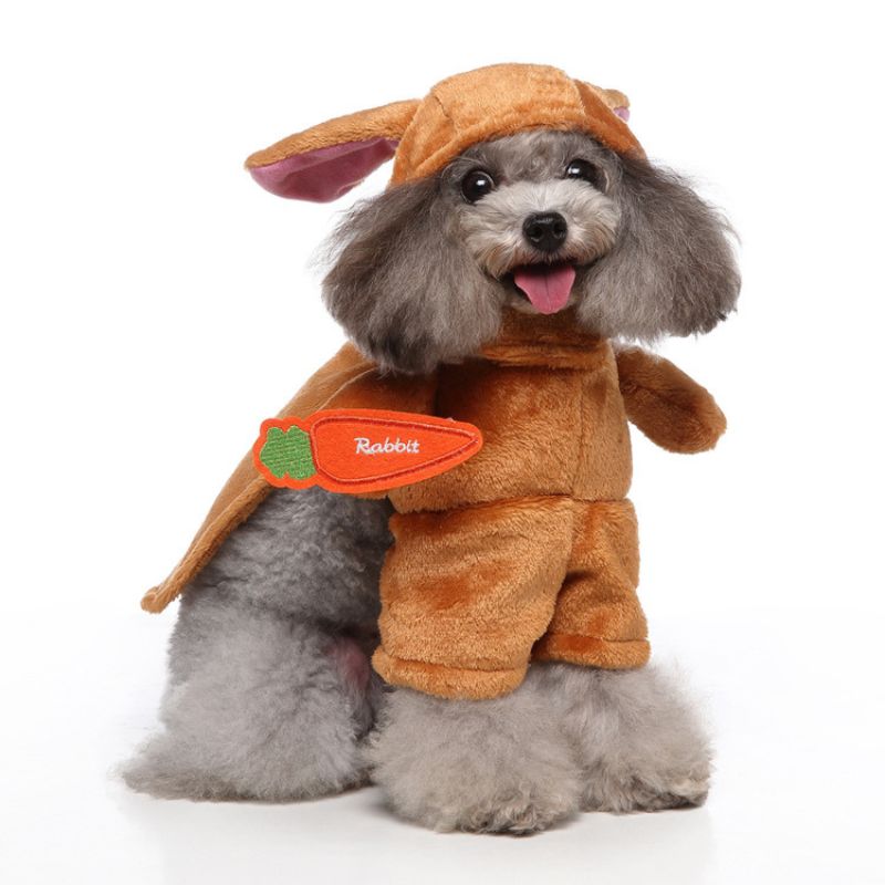 Chucky Pet Costume - Brown Bunny