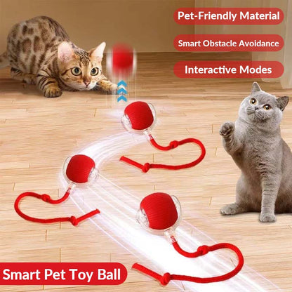 Smart Interactive Pet Toy Ball