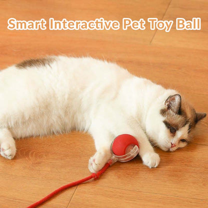 Smart Interactive Pet Toy Ball