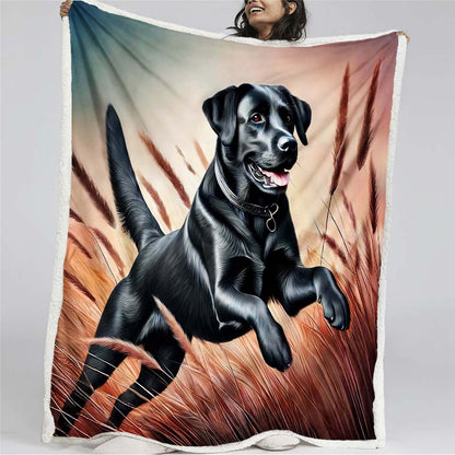 Black Labrador Blanket - H213 - Premium Blanket