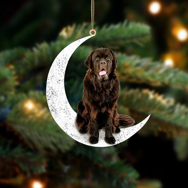 Newfoundland Sit On The Moon Ornament MO087