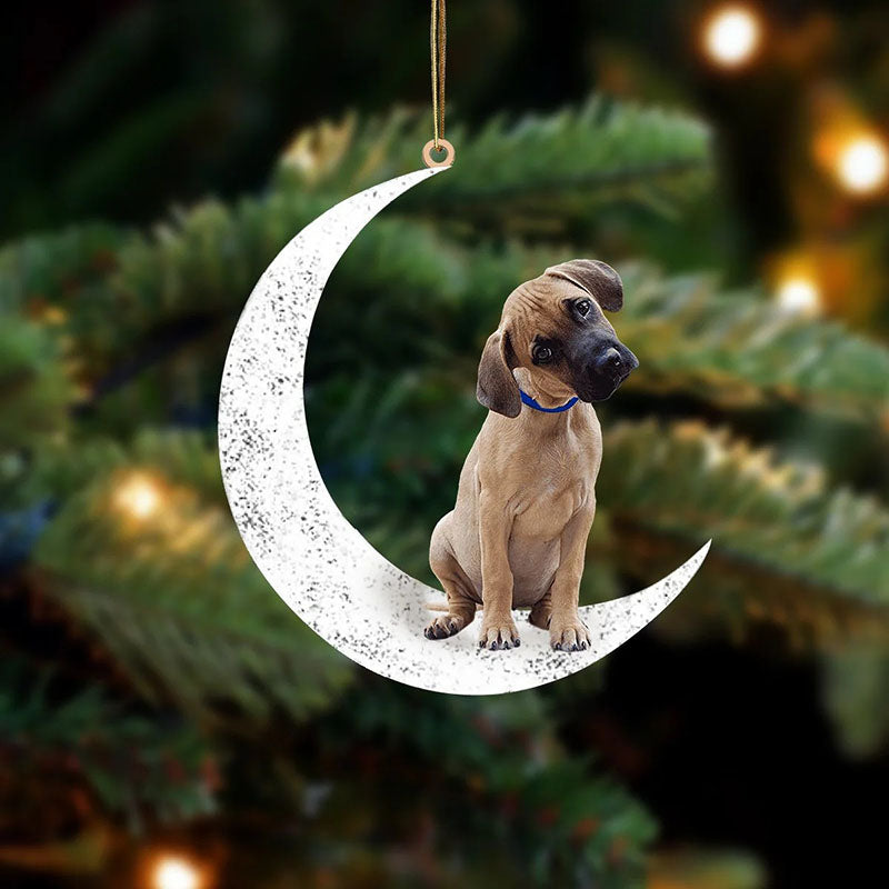 Black Mouth Cur Sit On The Moon Ornament MO110