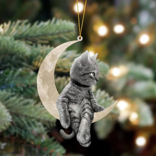 Cat Sits On The Moon Hanging Ornament Cs016