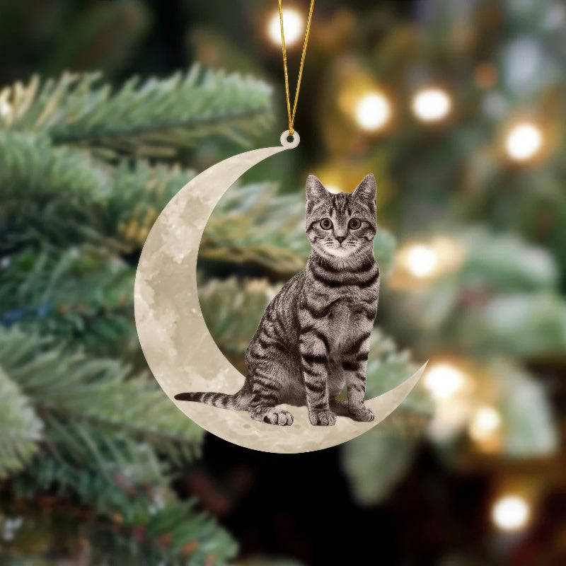 Tabby Cat Sits On The Moon Hanging Ornament Cs002