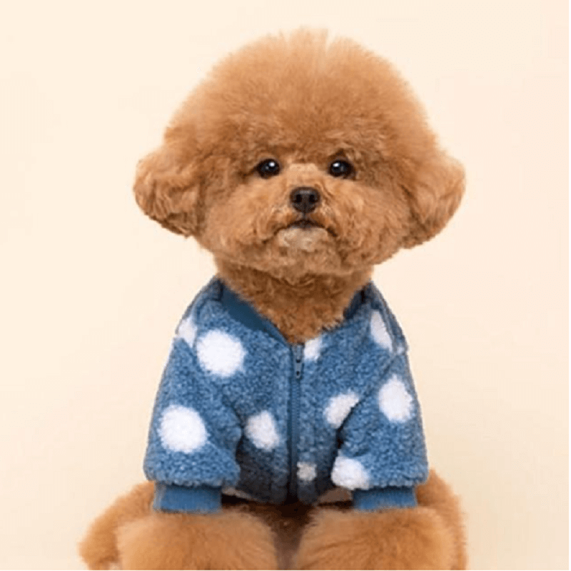 Warm Fleece Polka Dog Sweater