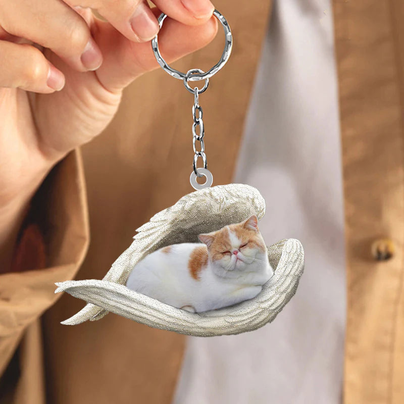 Sleeping Angel Acrylic Keychain Exotic Shorthair Cat SA112