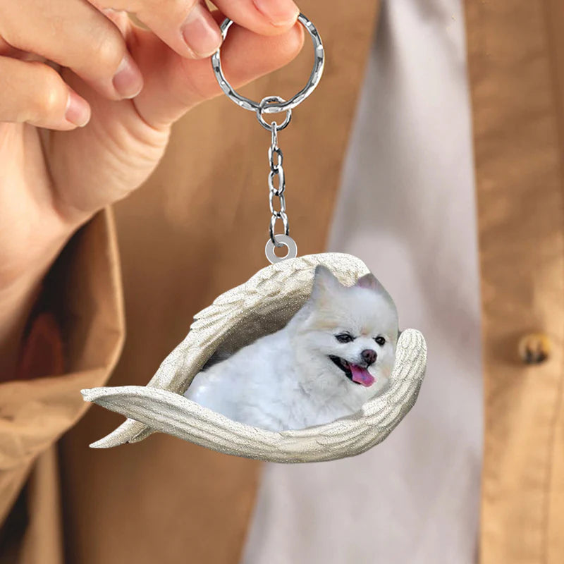 Sleeping Angel Acrylic Keychain Pomeranian SA108